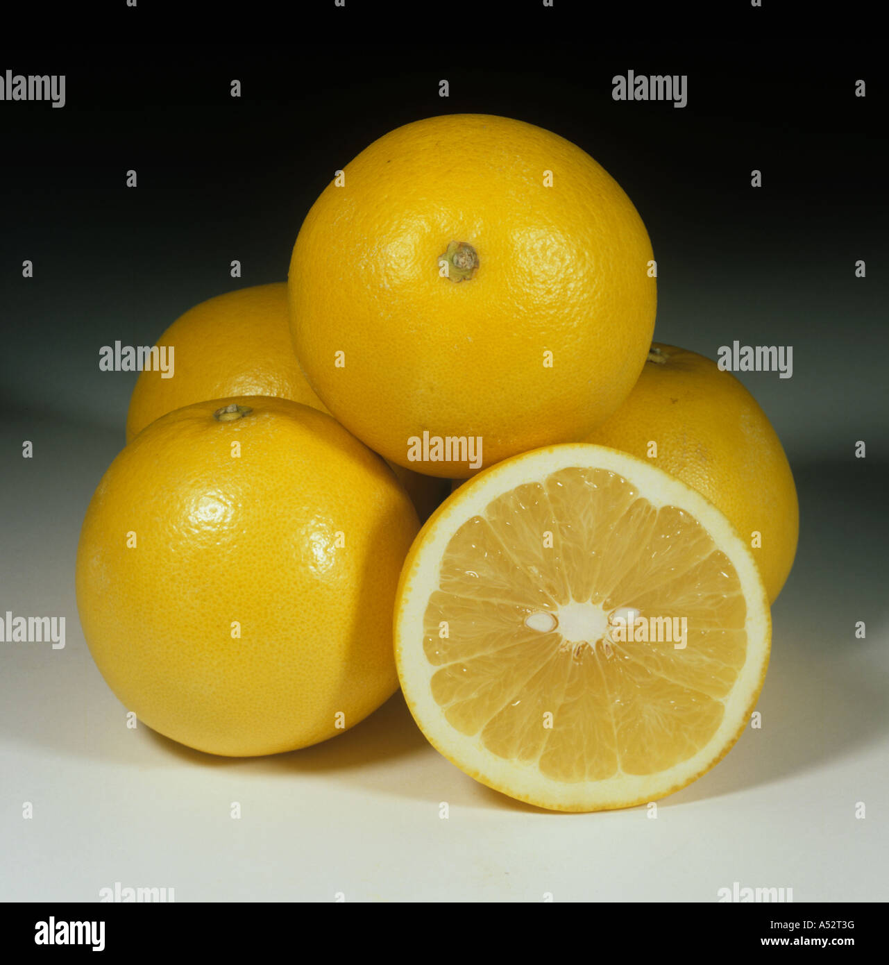 Ganze Abschnitte unterteilten Grapefruit Obst Marsh kernlose Sorte Stockfoto