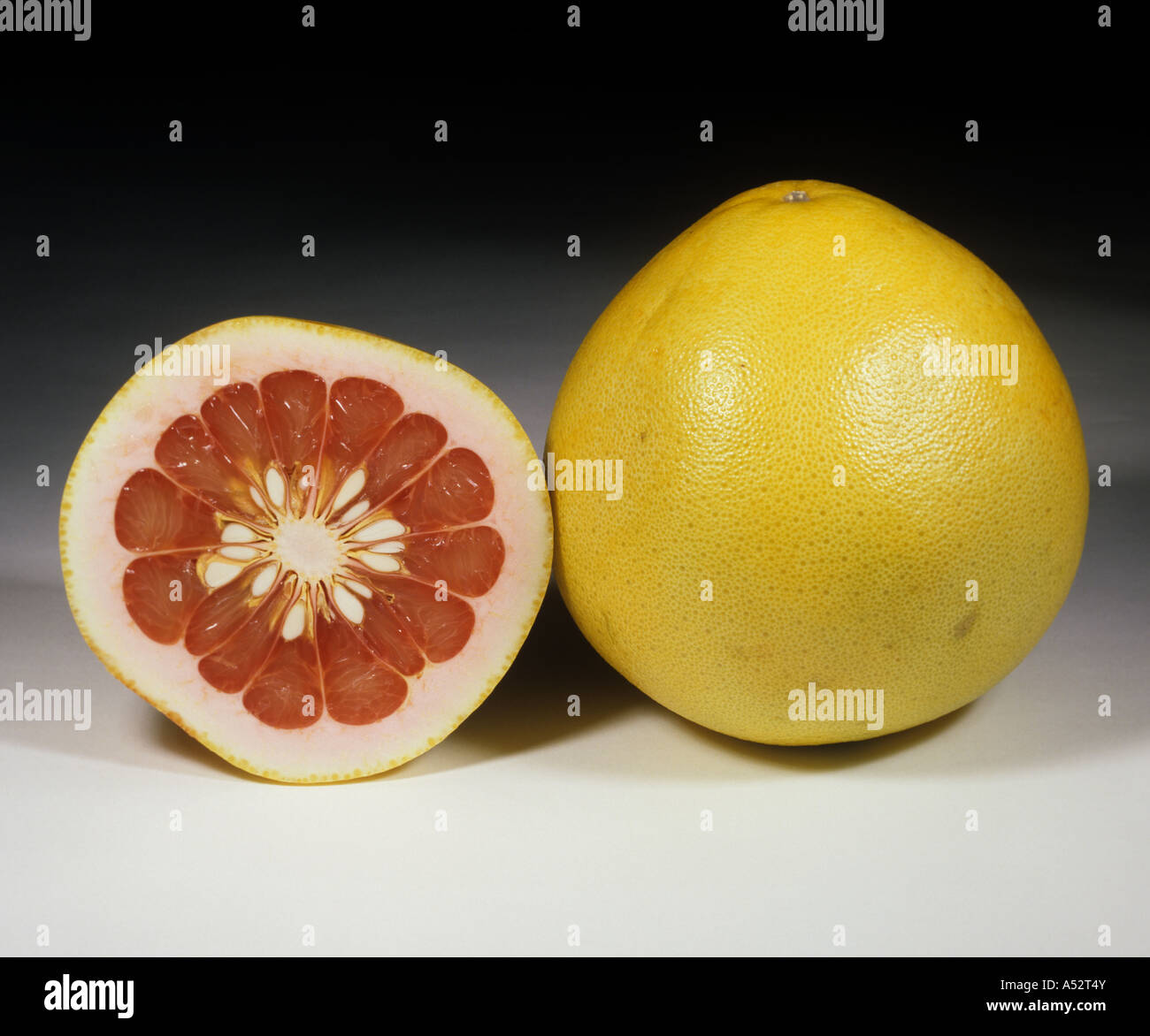 Ganze Abschnitte unterteilten Pummelo Obstsorte rot Shaddock Stockfoto