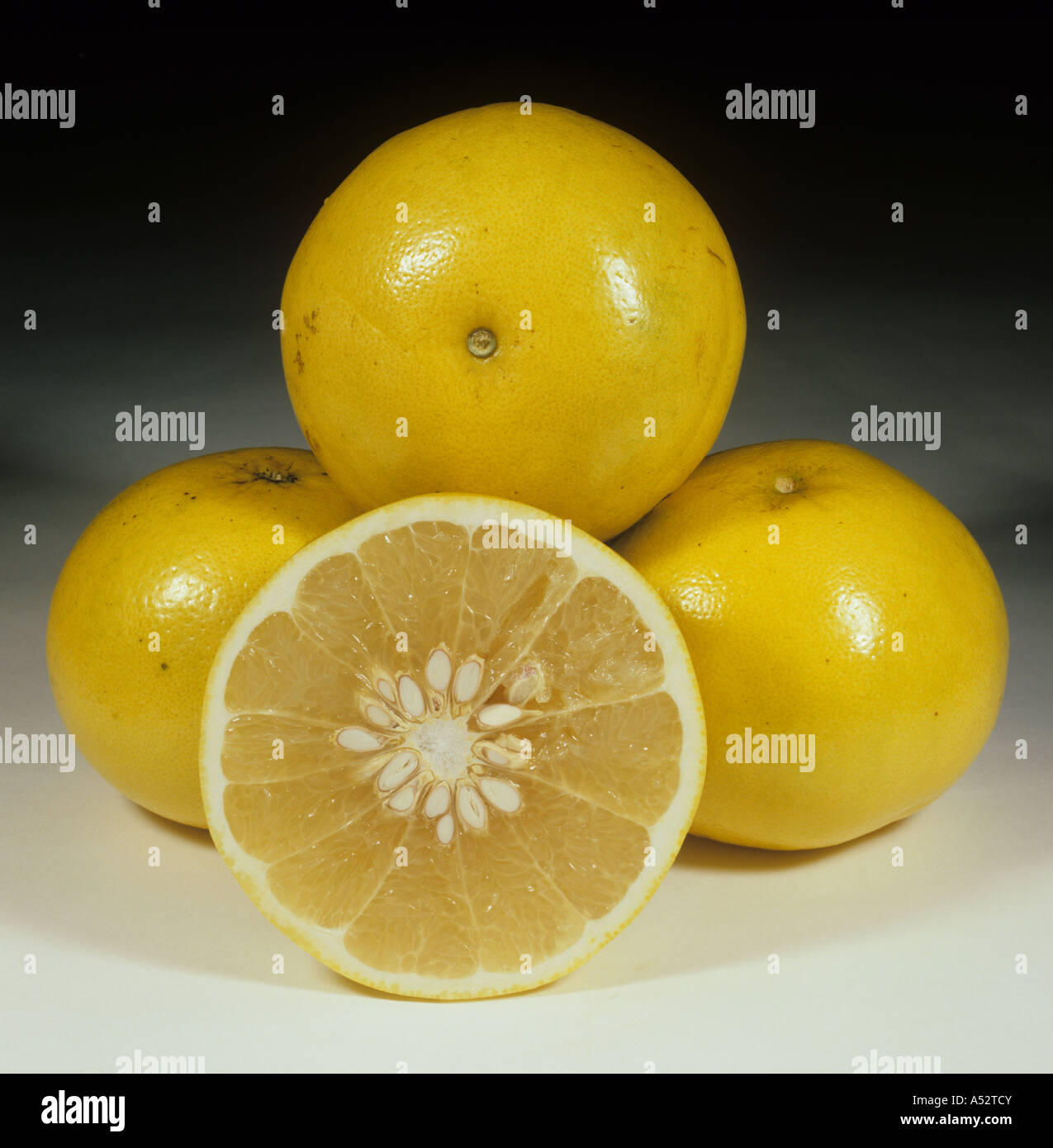 Ganze und geschnittenen Grapefruit Obst Variey Duncan Stockfoto