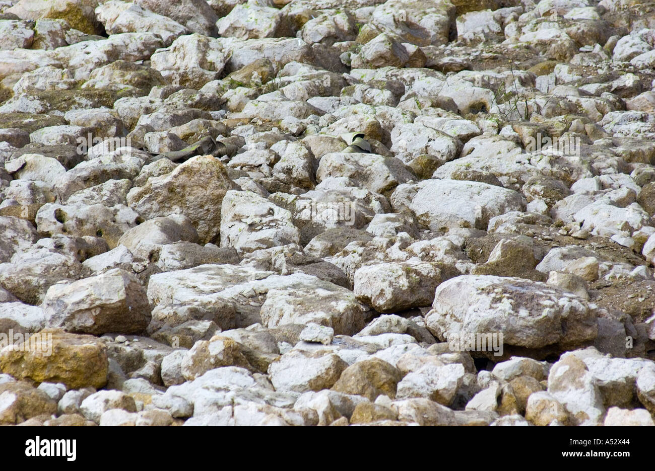 Felsen Hintergrund Textur felsigen Steinen Kiesel Stockfoto