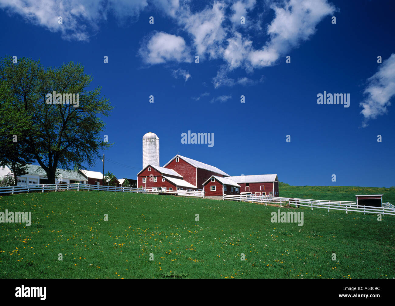 Bauernhof, Sharon Springs, New York, USA Stockfoto