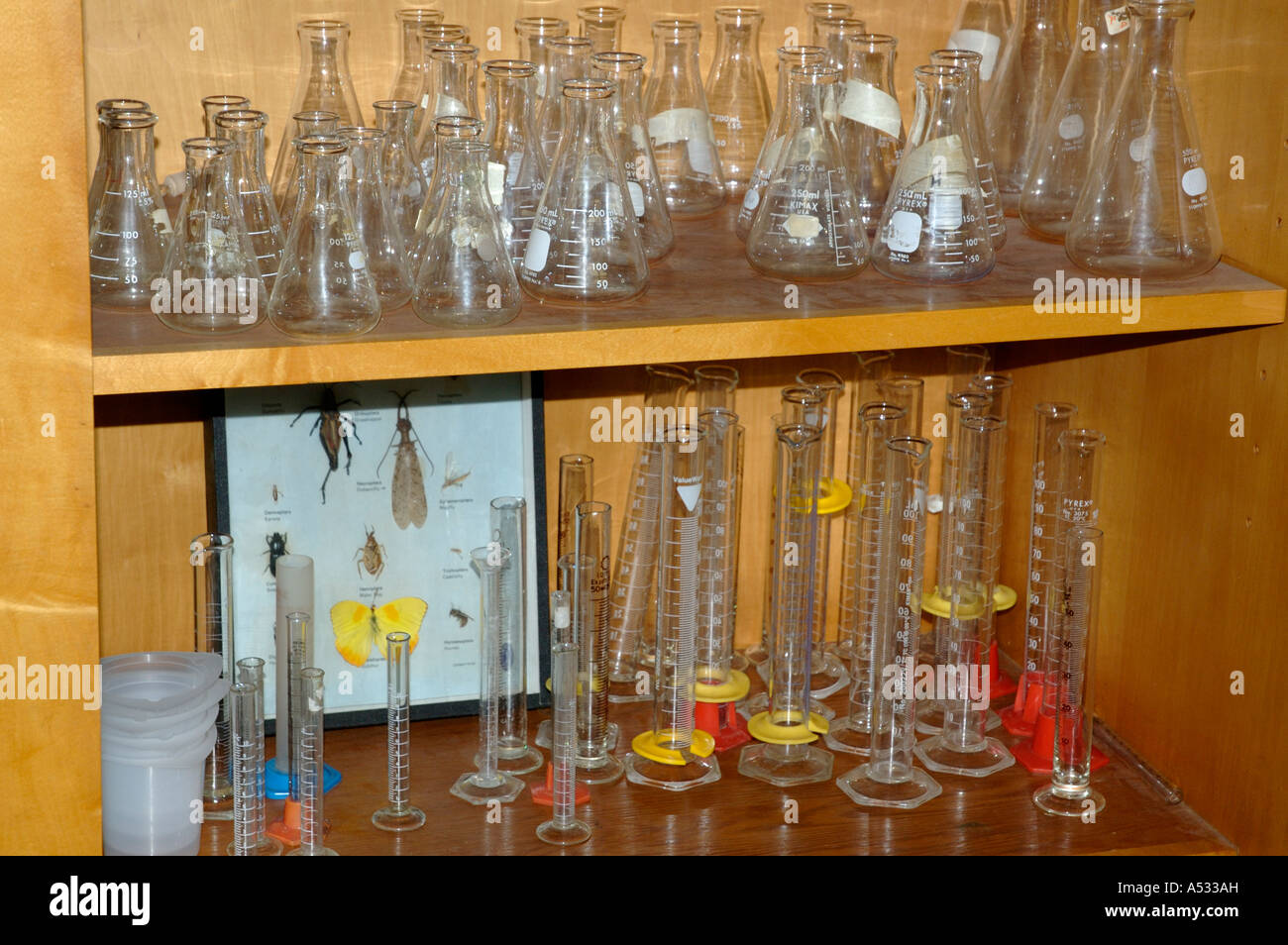 Glas Flaschen Becher Zylinder auf Regalen in Biologie Schulklasse Stockfoto