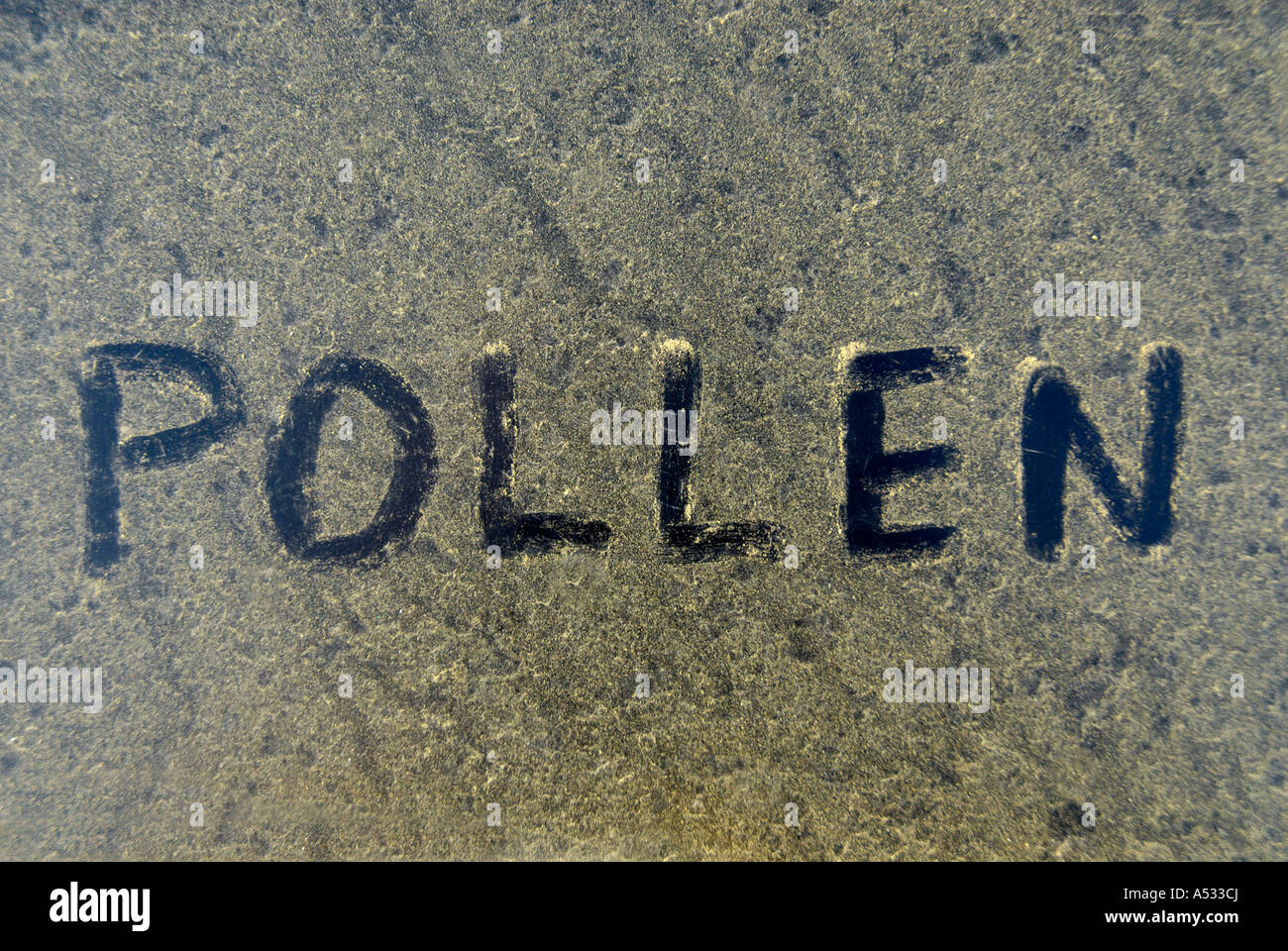 Der Wort Pollen angesaugt Pollen angesammelt auf Motorhaube Autos Stockfoto