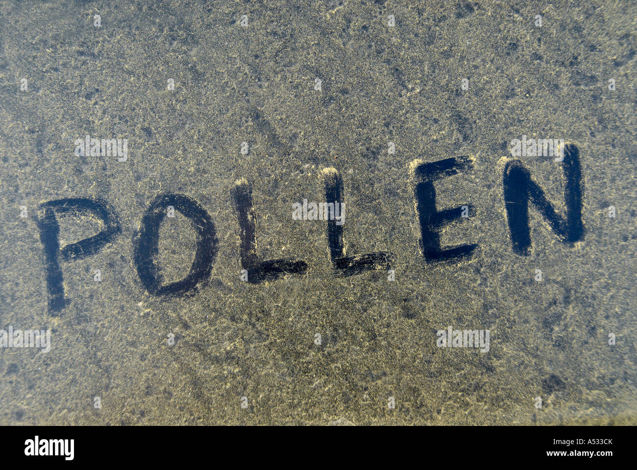 Der Wort Pollen angesaugt Pollen angesammelt auf Motorhaube Autos Stockfoto