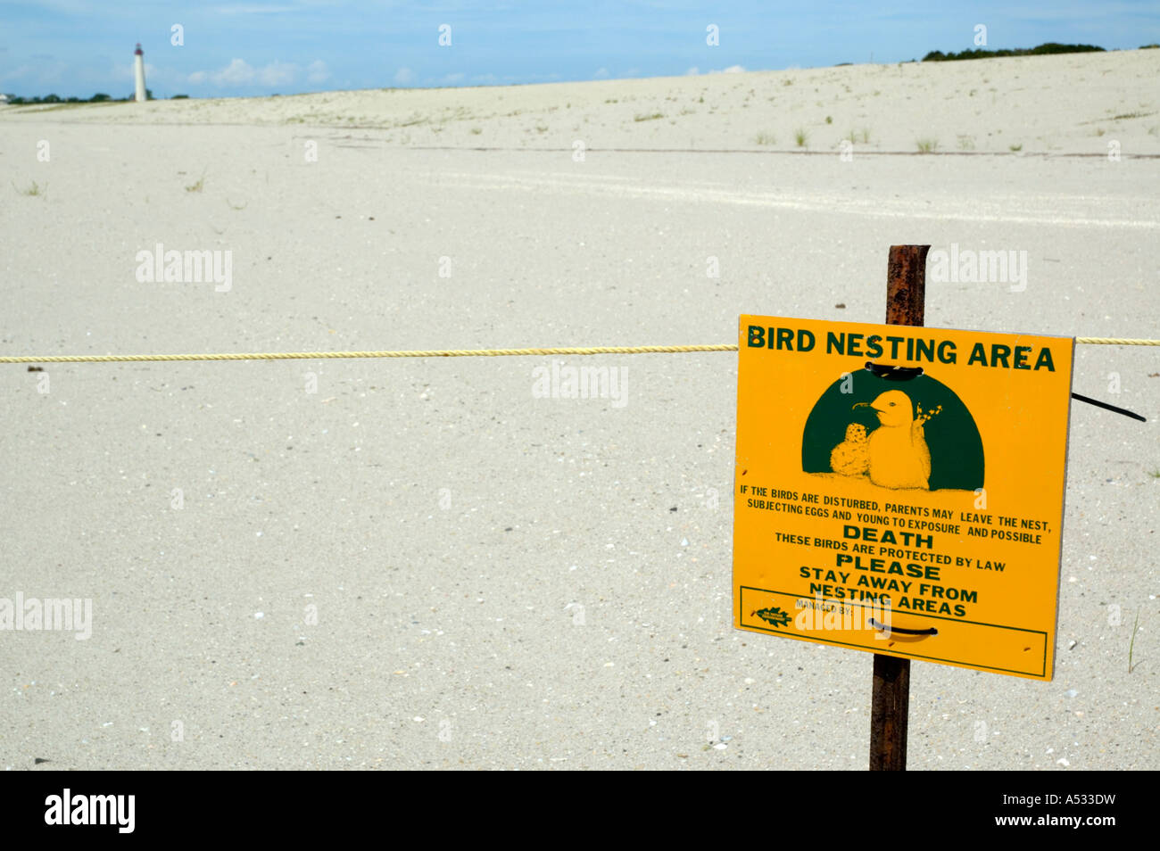 Ein Strand Schild Warnung Menschen nisten Aktivität von bedrohten Vogelarten.  der Strand ist Eigentum von The Nature Conservancy in C Stockfoto