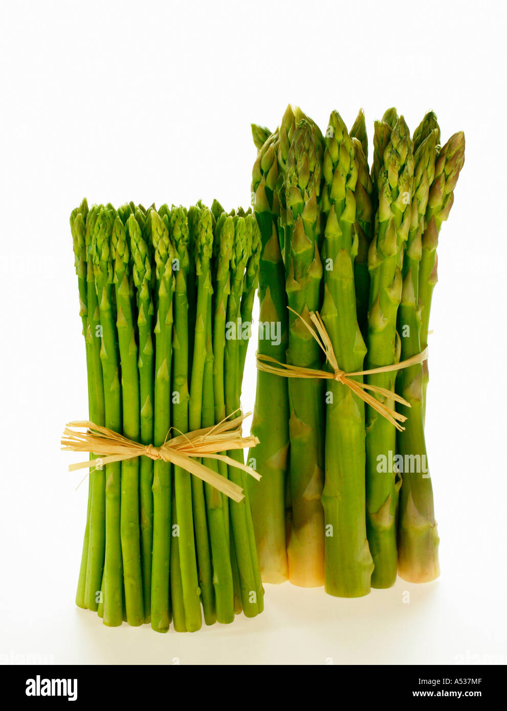 Bündel von grünem Spargel und Bündel von Thai Spargel Stockfoto