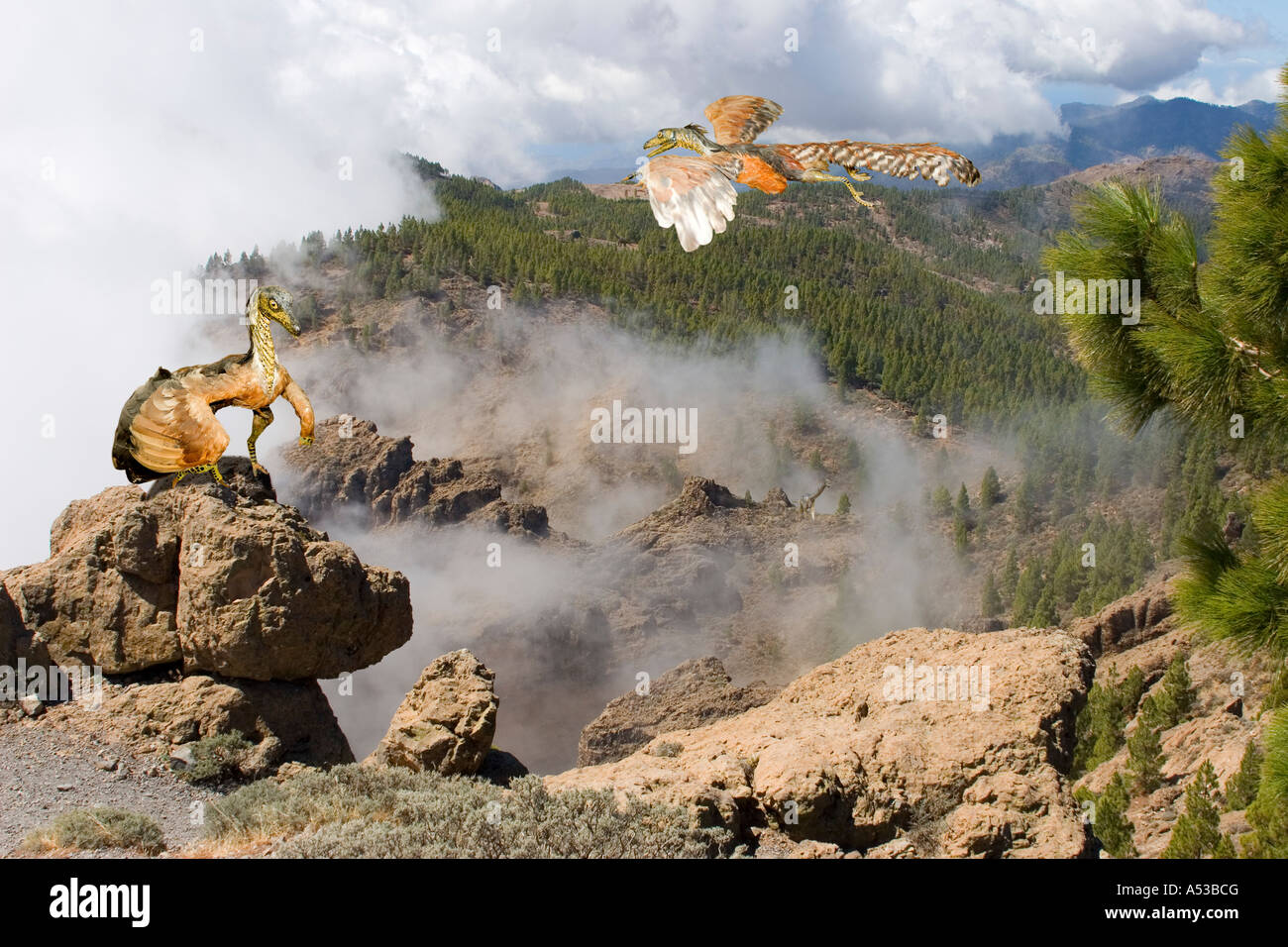 Archaeopterix Urvogel der Vor 150 Mio. Jahren Lebte prähistorischer Vogel Stockfoto
