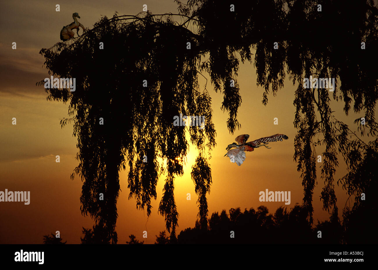 Archaeopterix Urvogel der Vor 150 Mio. Jahren Lebte prähistorischer Vogel Styracosaurus Pteranodon Stockfoto