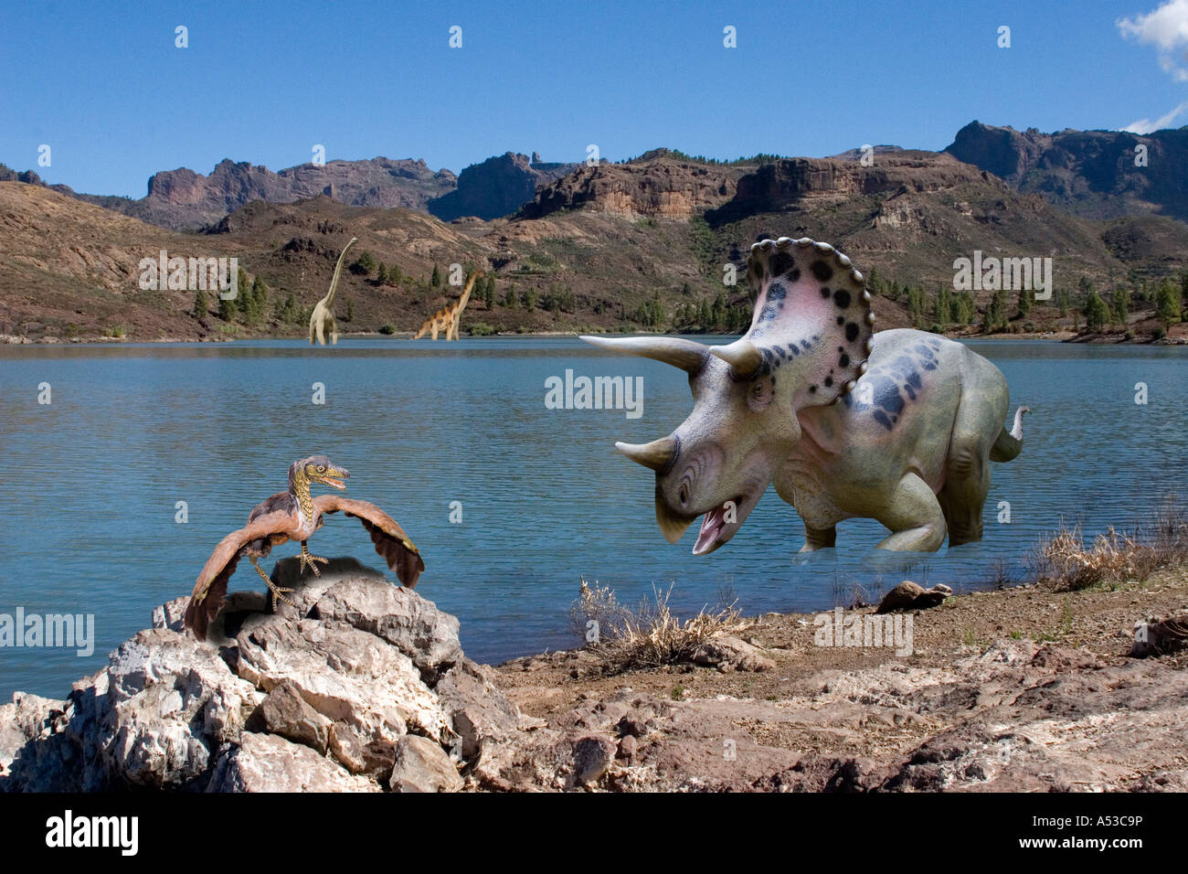 Pentaceratops Archaeopterix Urvogel der Vor 150 Mio. Jahren Lebte prähistorischer Vogel Brachiosaurier Stockfoto