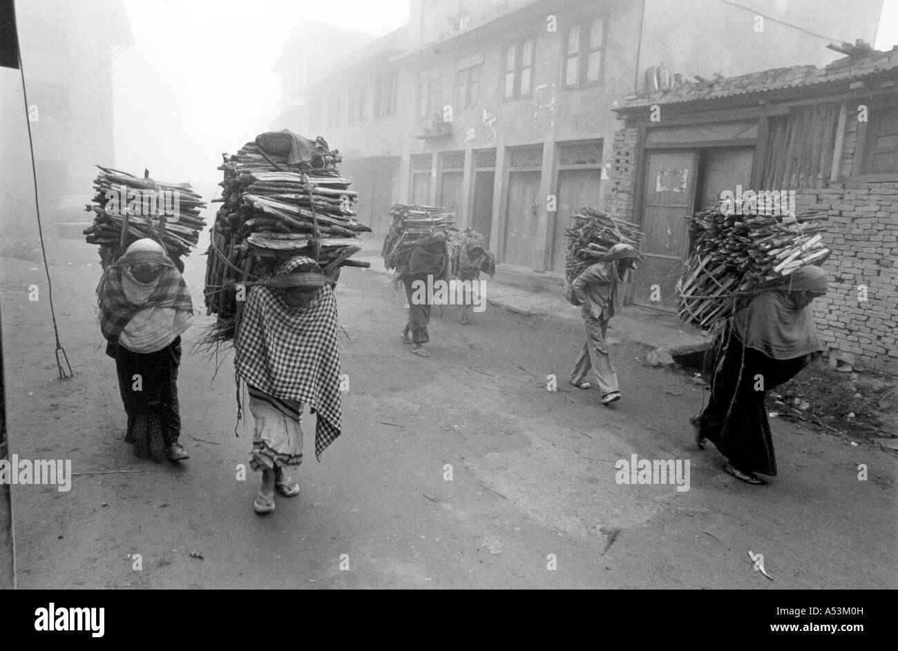 Painet ha1585 319 schwarz-weiß Umgebung tragen Brennholz Katmandu früh Morgen Kathmandu Nepal Land entwickelt Stockfoto