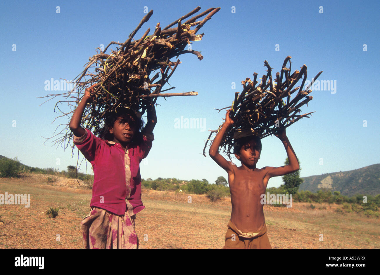 Painet ha2228 5014 Indien Kinder tragen Brennholz Land entwickeln Nation wirtschaftlich entwickelten Kultur, die Schwellenländer Stockfoto