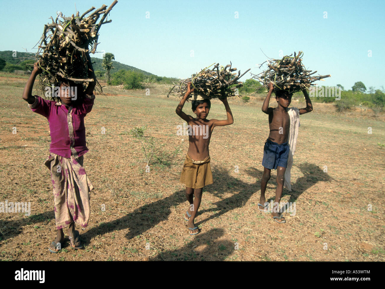 Painet ha2230 5016 Indien Kinder Arbeits-Land entwickelnde Nation wirtschaftlich entwickelten Kultur Markt Minderheit Stockfoto