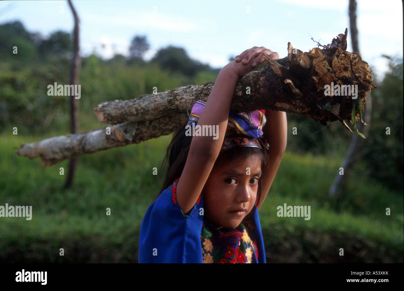 Painet ha2284 5105 Guatemala Kinder Mädchen tragen Brennholz Land entwickeln Nation weniger wirtschaftlich entwickelten Kultur Stockfoto