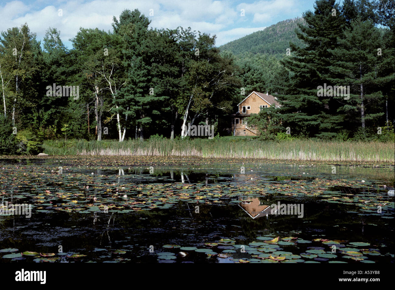 Lale und Haus Elizabethtown Upper New York State USA Stockfoto
