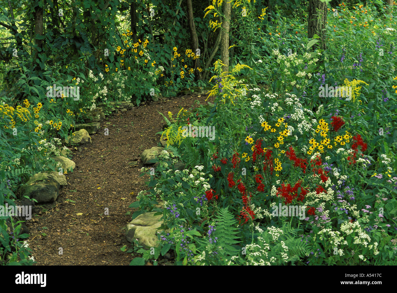 Friedlichen Weg in schattigen einheimischen Wildblumen Garten Midwest USA Stockfoto