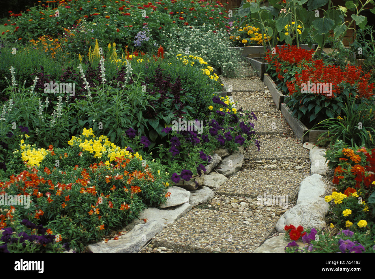 Pfad im jährlichen Garten Wildblumen Missouri-Vereinigte Staaten von Amerika-USA Stockfoto