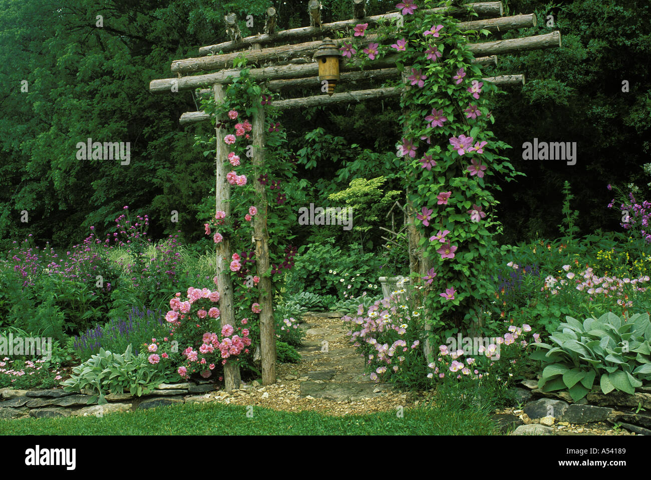 Rustikale Zeder Laube mit rosa Rosen und Clematis dient als Eingang zum Teil schattigen Blumengarten, in Missouri Stockfoto