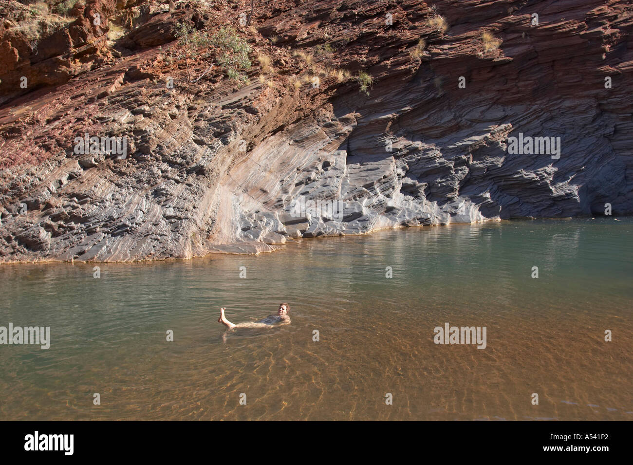 Schwimmen im Hamersley Gorge Pilbara Region western Australien WA Stockfoto