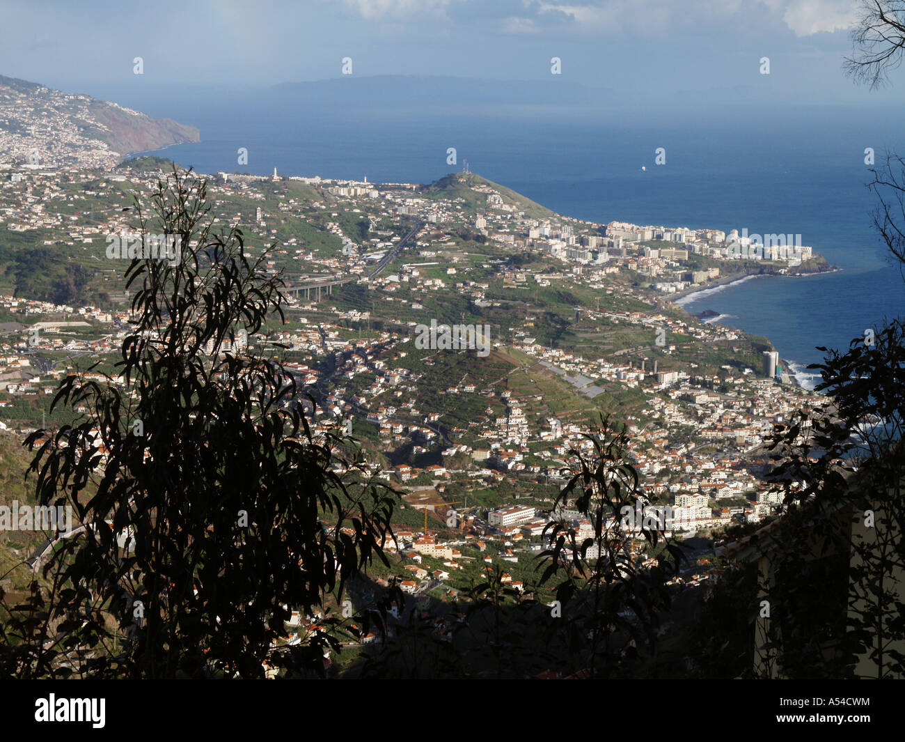 Blick auf Funchal Stockfoto