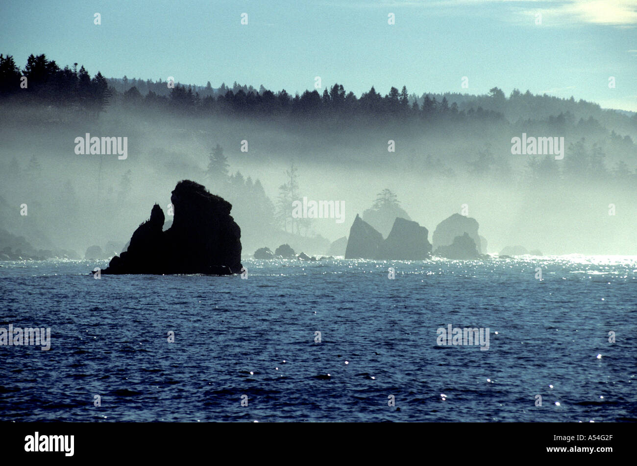 Felsige Küste Trinidad Humboldt County Kalifornien USA Stockfoto