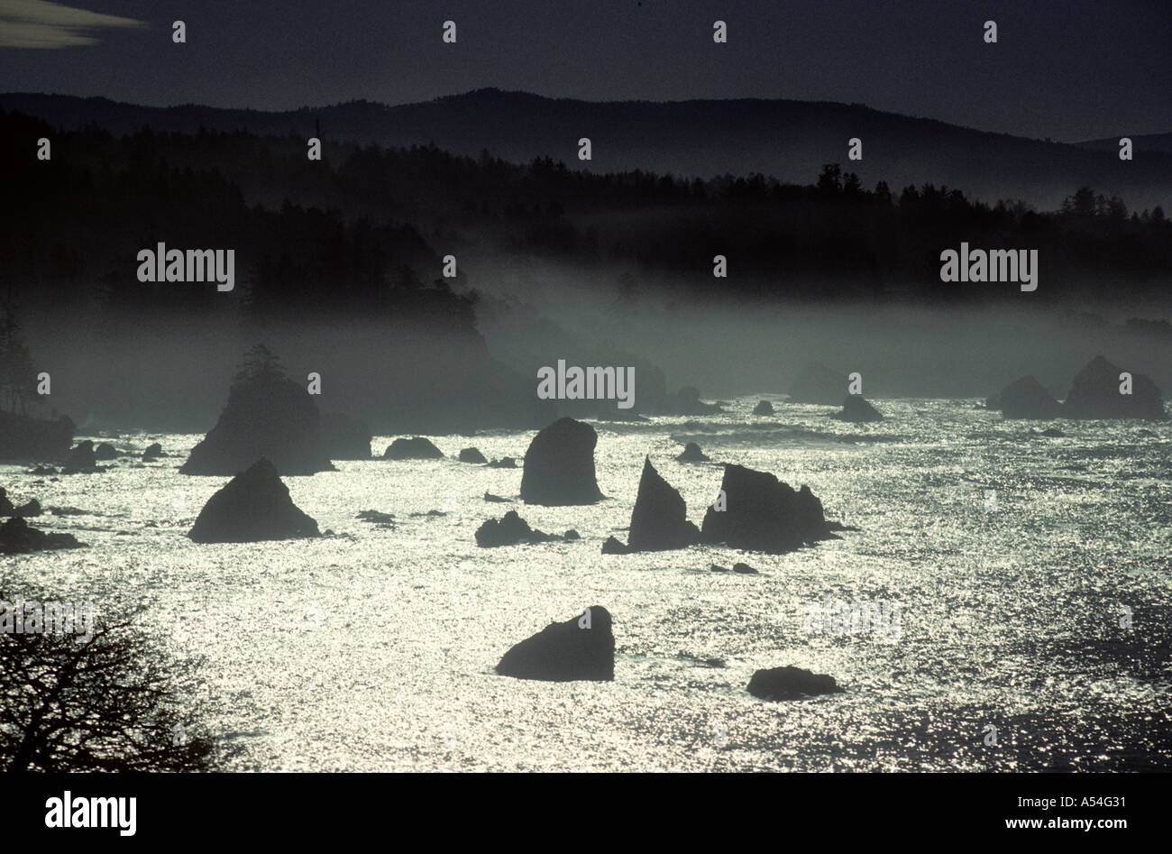 Meer stapelt Trinidad Humboldt County Kalifornien USA Stockfoto