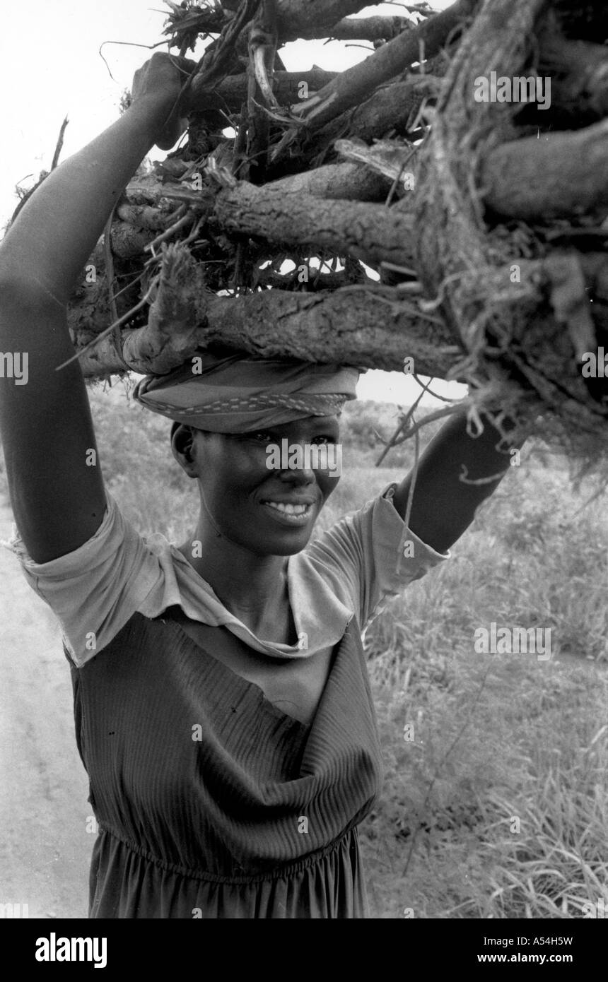 Painet hq1492 schwarz / weiß-Umgebung Frau mit Brennholz Nimule Südsudan Bilder bw Land Entwicklungsland Stockfoto