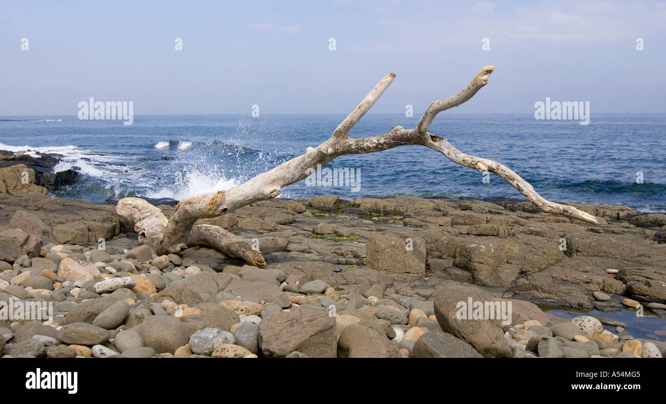 Craster, GBR, 18. Aug. 2005 - Strand in der Nähe Craster in Norththumberland Stockfoto