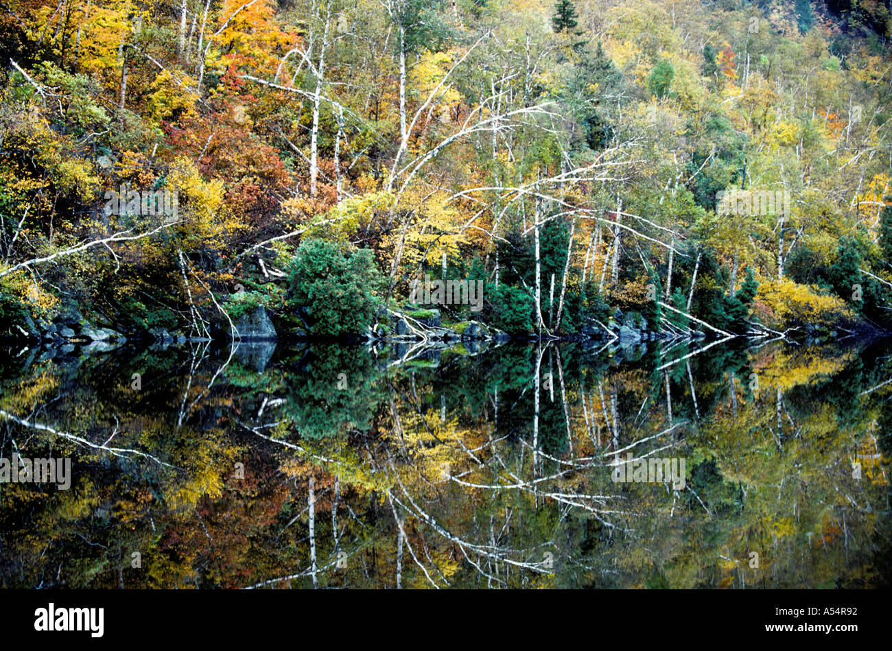 Herbst Reflexionen Adirondaks Upper New York State USA Stockfoto
