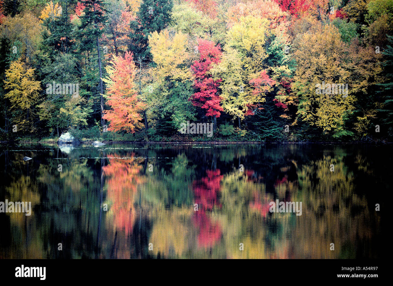 Herbstliche Bäume spiegelt sich im See Adirondaks Upper New York State USA Stockfoto