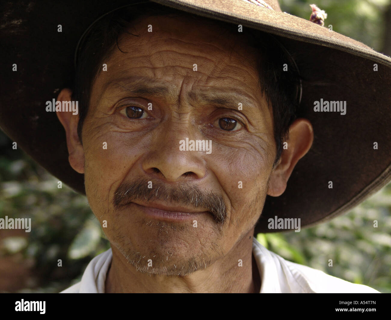 Painet ip1936 männlichen Honduras Landwirt Marcala Land sich entwickelnde Nation wirtschaftlich weniger Kultur aufstrebenden Markt entwickelt Stockfoto