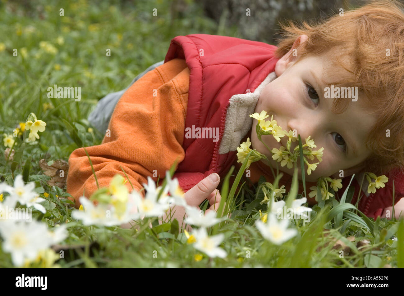 Kind im Frühjahr freut sich über die ersten Blumen Stockfoto