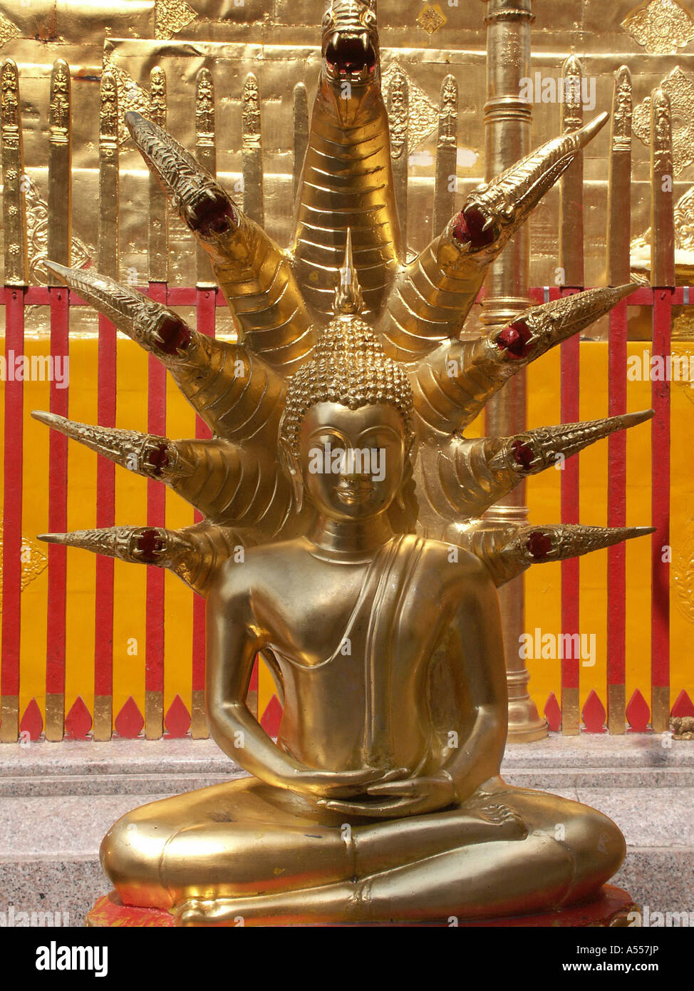 Painet ip2685 thai 03 Thailand Buddha durch Kobras Wat Phra Doi Suthep buddhistischen Tempel Chiang Mai Land geschützt Stockfoto