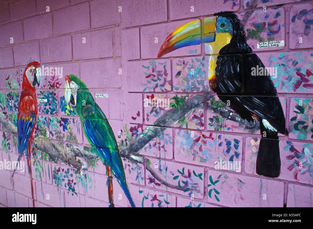 Costa Rica Tortuguero Dorf Vogel Gemälde an Außenwand des Geschenk-shop Stockfoto