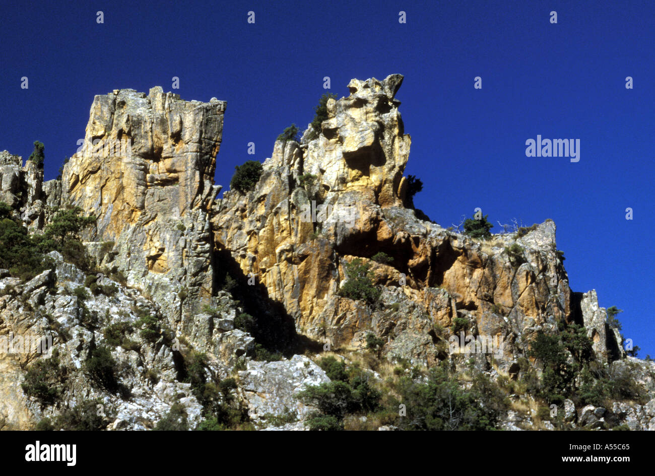 ROCK IN GRANIT VON SALZ VERWITTERUNG CALANCHE KÜSTE PIANA PORTO KORSIKA FRANKREICH ERSTELLTE FORMULARE Stockfoto