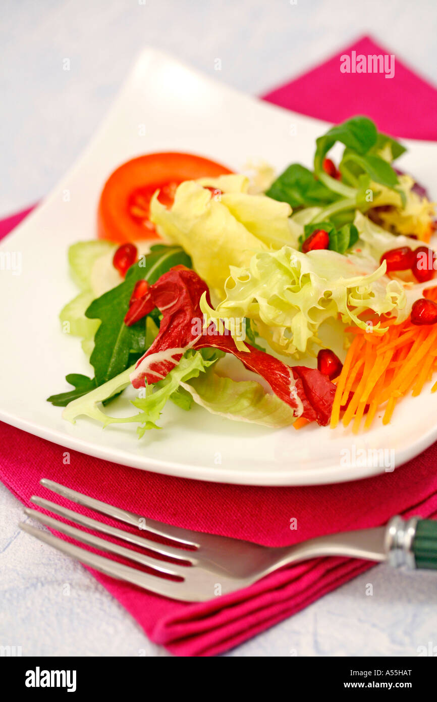 Feldsalat, Endivien, Eskariol, Granatapfel, Möhren, Chicorée, Rucola und Tomaten Rezept zur Verfügung Stockfoto