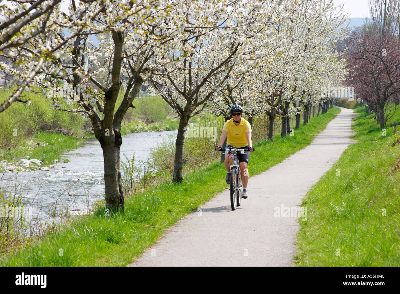 Radweg entlang der triesting Tal in der Nähe von Pottenstein Niederösterreich Stockfoto