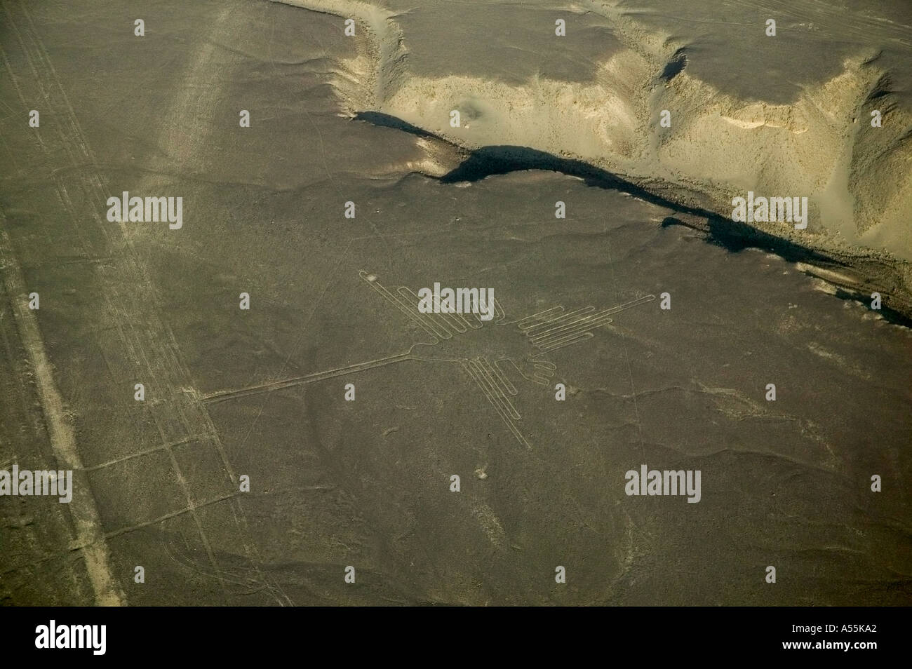 Luftaufnahme des Kolibri zeichnen Nazca Linien Peru Stockfoto