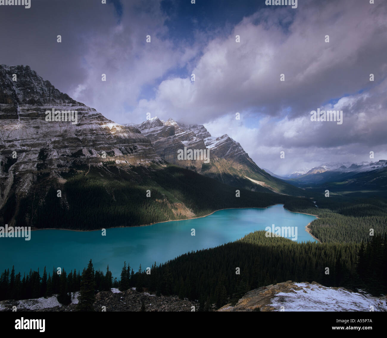 Die blaue Farbe des Peyto Lake vom Bug Gipfel gesehen, im Banff Nationalpark in den Kanadischen Rockies Stockfoto