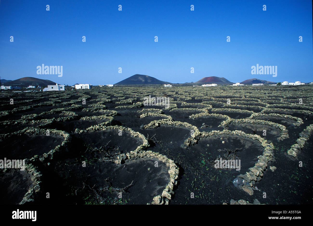 La Geria - Monte Negra - Lanzarote Stockfoto