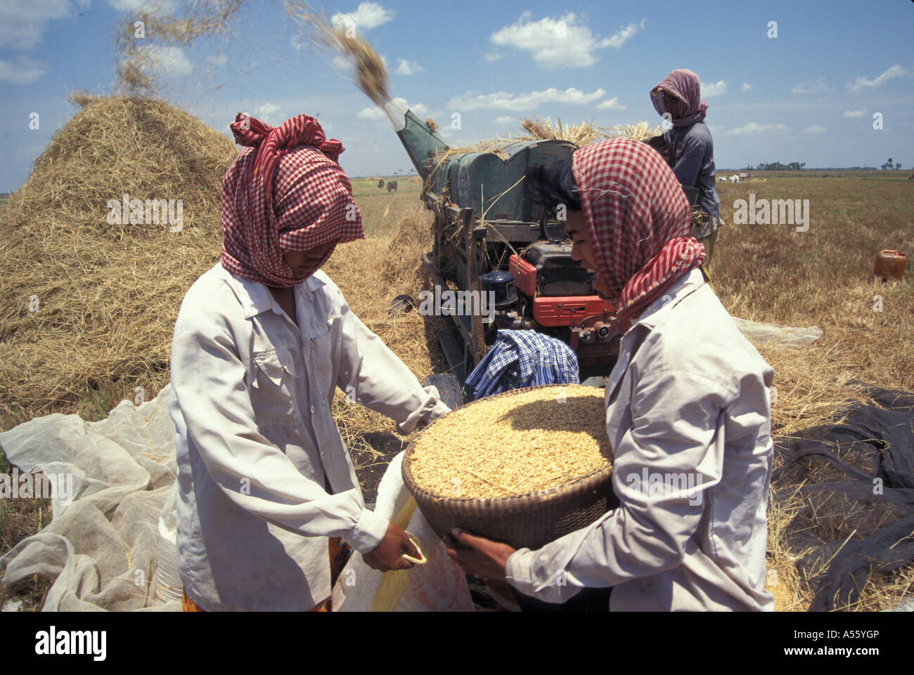Painet ix1813 Kambodscha Reis Ernte Zeit Diesel betriebene Dreschmaschine sauber Svay Rieng Land sich entwickelnde Nation weniger Stockfoto