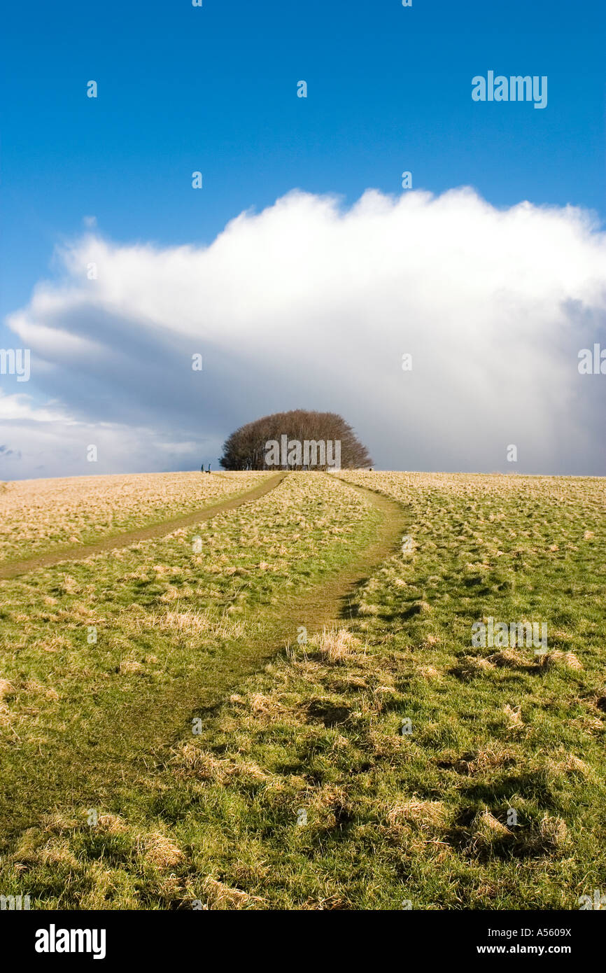 Ein Sturm zieht über Win Green Hill Wiltshire Stockfoto