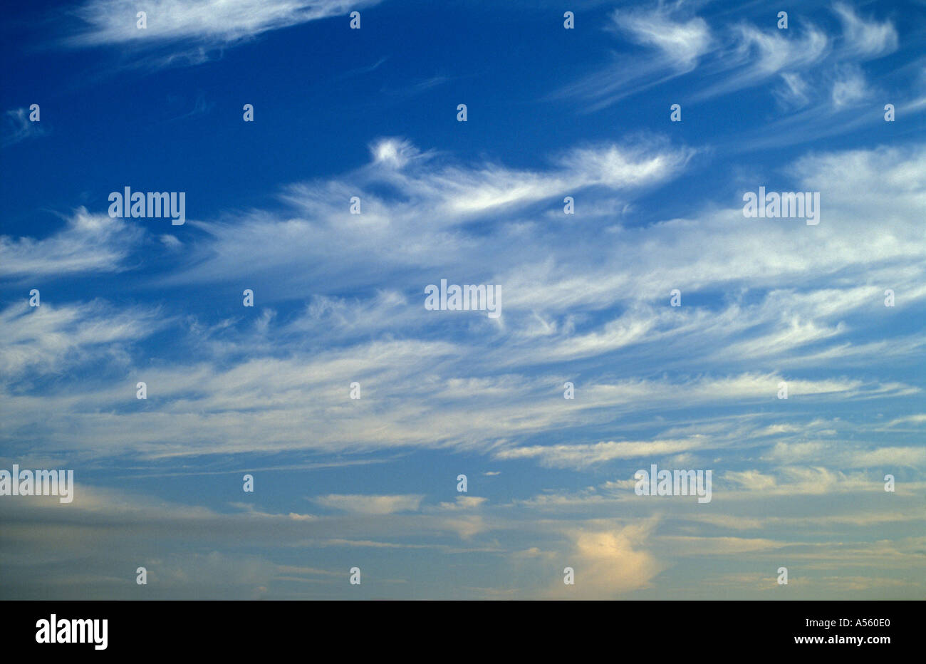 Himmel-Dorset-England-UK Stockfoto