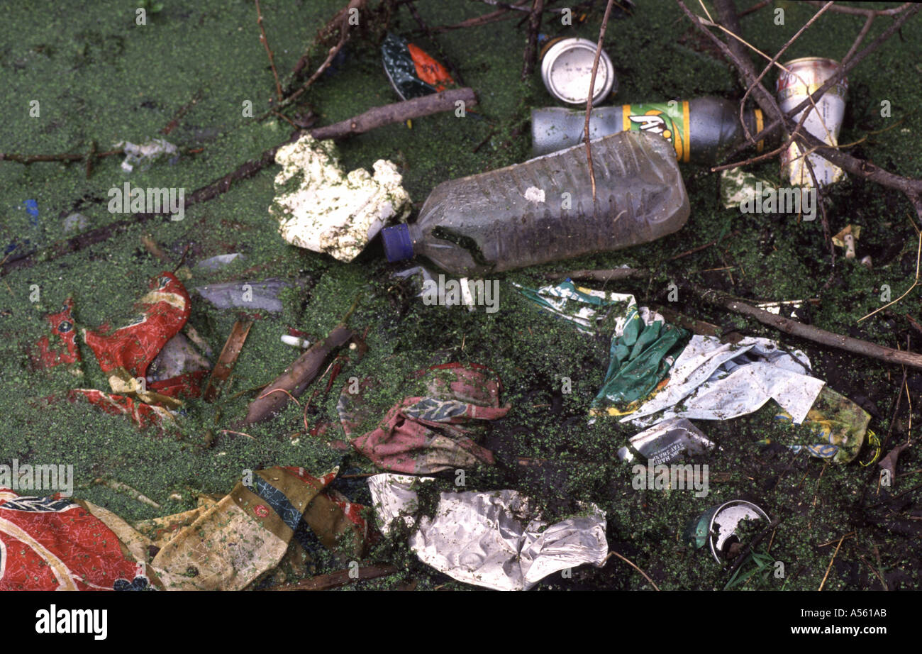 Plastik und andere Abfälle im städtischen Teich. West Midlands England Stockfoto