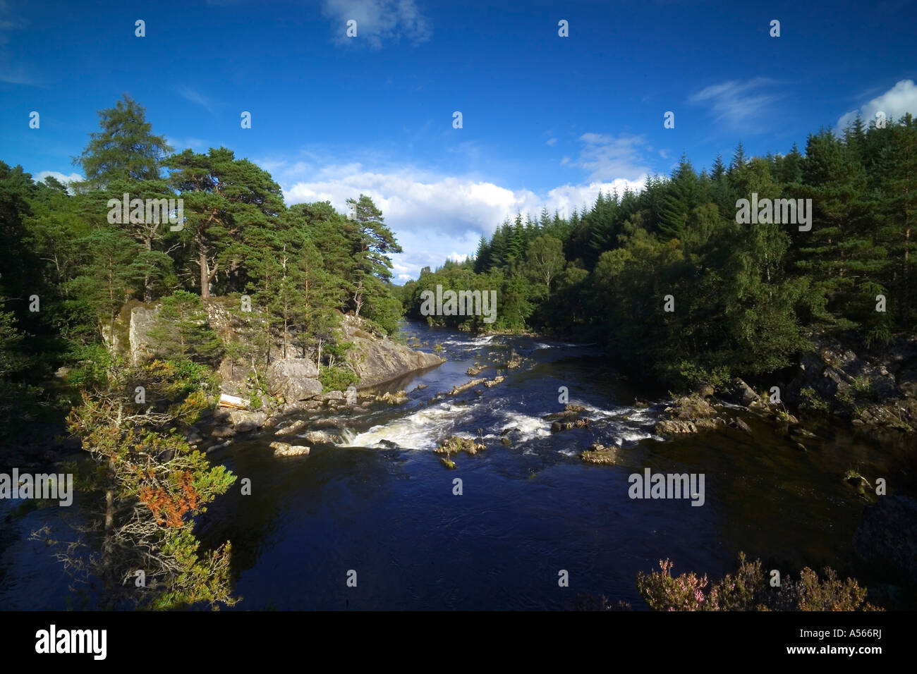 Der Fluss Tummel Perthshire Schottland Stockfoto