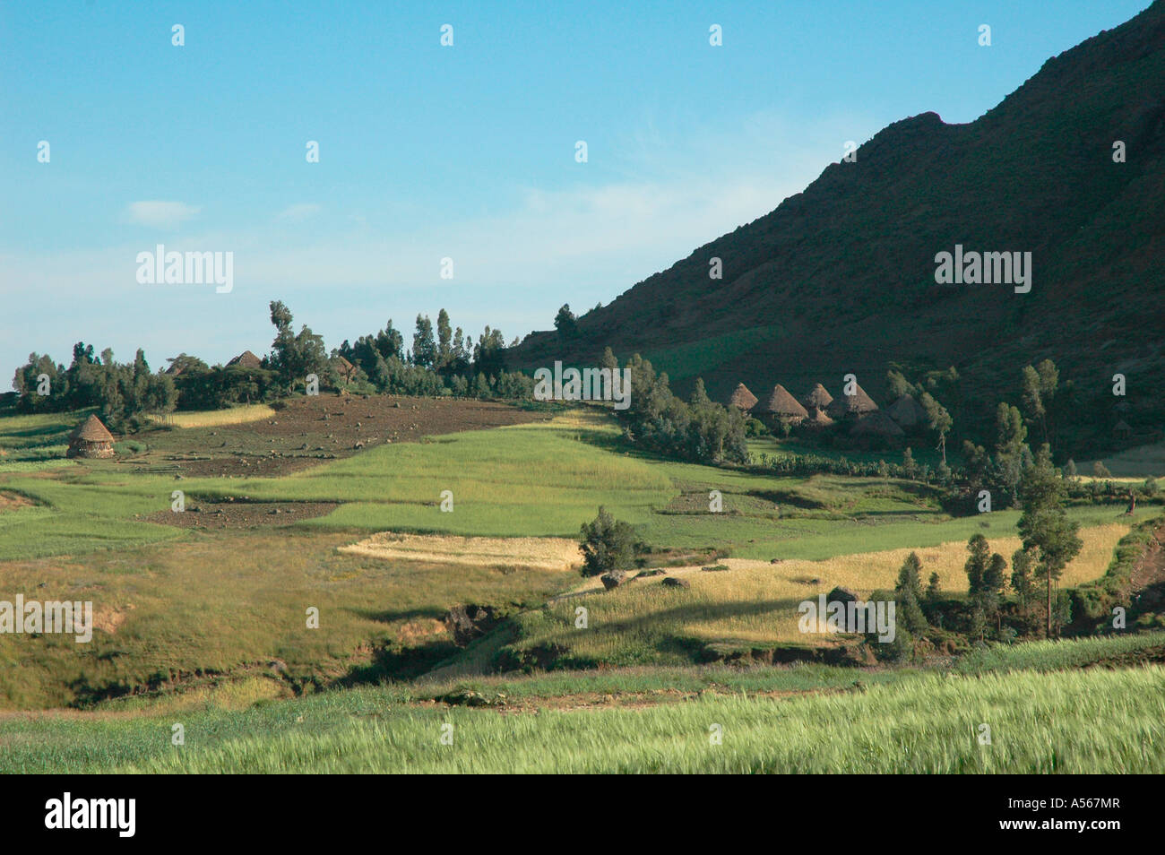 Painet iy7847 Äthiopien Landschaften nördlichen Shoa Foto 2004 Land entwickelt Nation weniger wirtschaftlich entwickelten Kultur Stockfoto