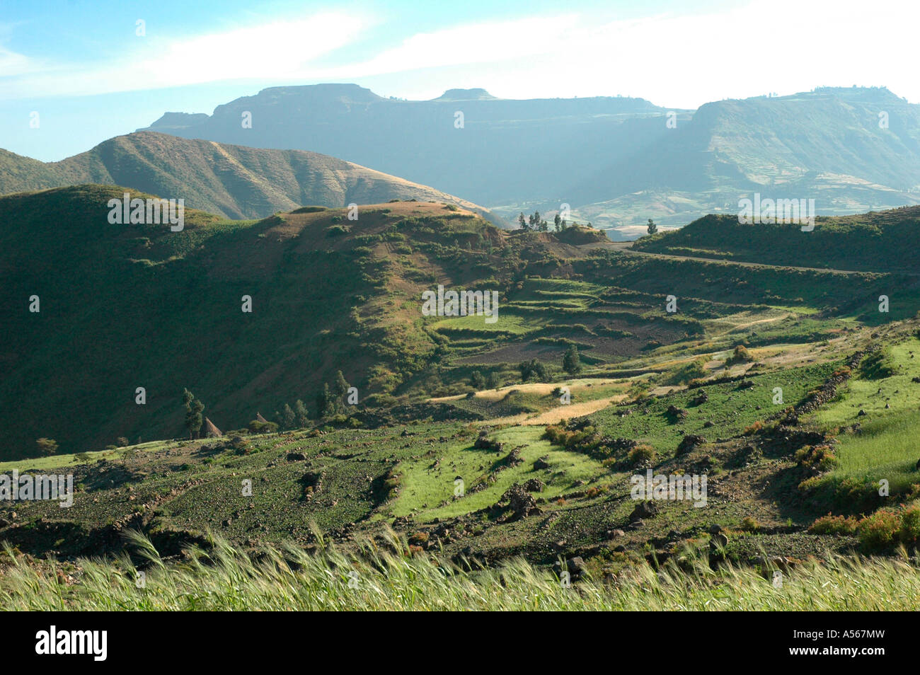 Painet iy7849 Äthiopien Landschaften nördlichen Shoa Foto 2004 Land entwickelt Nation weniger wirtschaftlich entwickelten Kultur Stockfoto