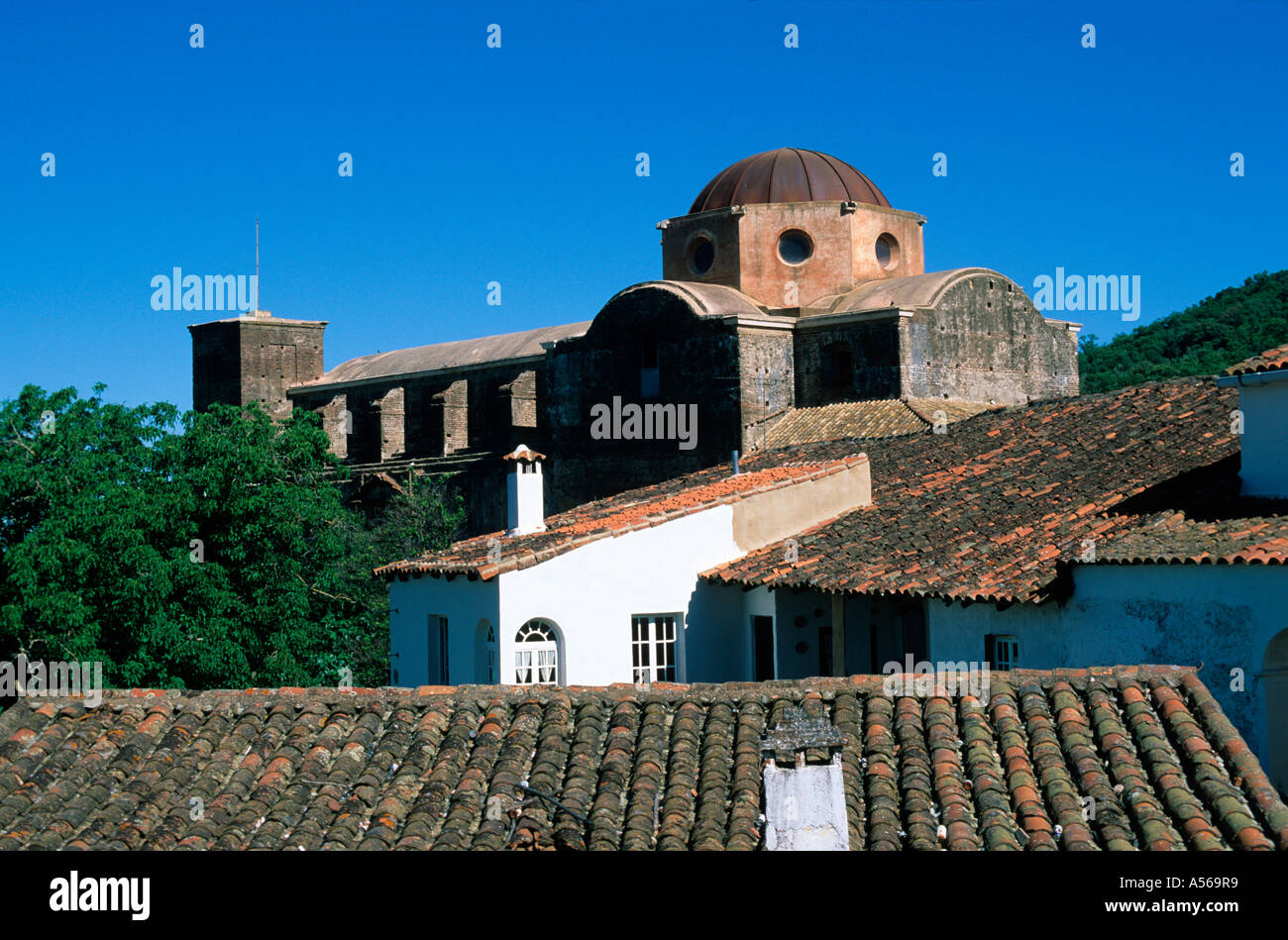 Castaño del Robledo Sierra de Aracena Andalusien Provinz Huelva Spanien Stockfoto