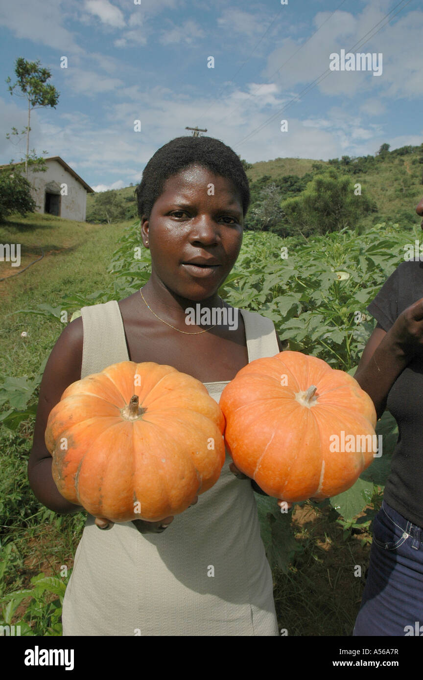 Painet iy8179 Brasilien Frau weiblich halten Kürbisse angebaut Santana Quilombo Quatis Rio Janeiro Zustand Siedlung African Stockfoto