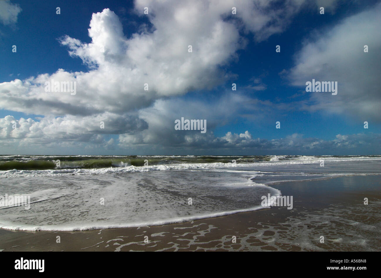 Welle am Strand der Nordsee, Dänemark Stockfoto