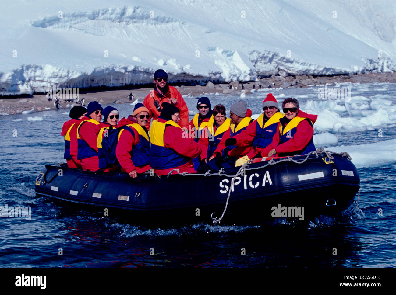 Leute, Touristen, Bootstour, Schlauchboot, Sternzeichen, Boot, nasse Landung, kontinentales Landung, Neko Harbour, Antarktische Halbinsel, Antarktis Stockfoto